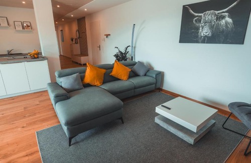Uehlingen-Birkendorf Apartment | Ferienwohnung Steinablick mit großem Balkon & Garage