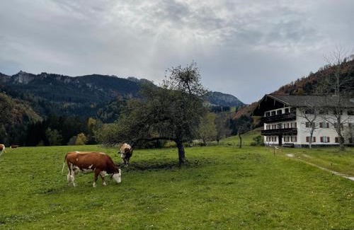 Aschau im Chiemgau Apartment | Ferienwohnung Berglodge Chiemsee