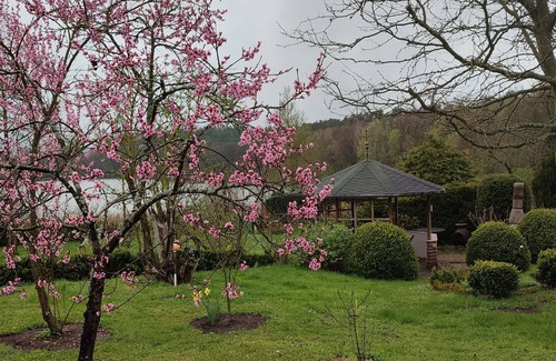 Wokuhl-Dabelow Apartment | Ferienwohnung Direkt am See