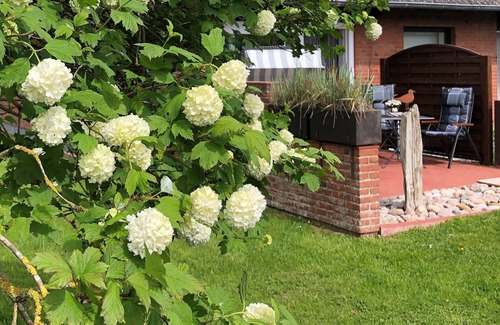 Garding Apartment | Ferienwohnung Eidernest