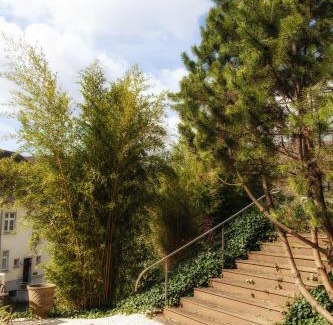 Waldbreitbach Apartment | Ferienwohnung "Gaston" Mitten in Waldbreitbach