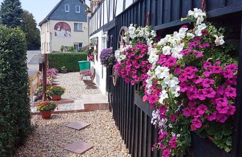 Hirschfelde Apartment | Ferienwohnung Hirschfelde