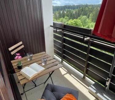 Kniebis Apartment | Ferienwohnung in Freudenstadt-Kniebis III
