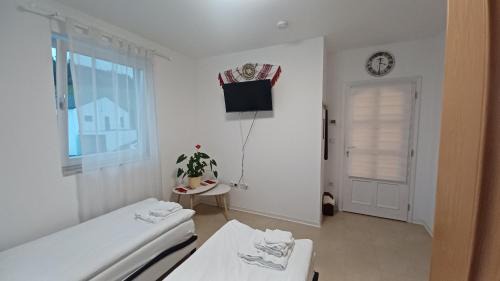 Kallmunz House | Ferienwohnung Mioritza