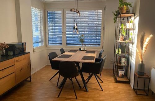 Matthaus Apartment | Ferienwohnung nahe des Rheins in Basel