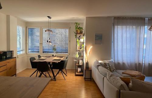 Matthaus Apartment | Ferienwohnung nahe des Rheins in Basel