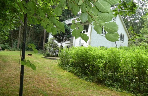 Lutterloh Apartment | Ferienwohnung Niemann in Lutterloh