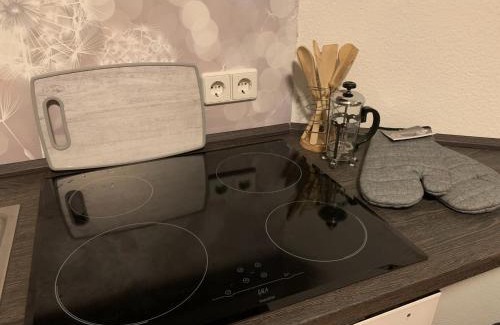 Rotha Apartment | Ferienwohnung Oelzschau - Urlaub im Leipziger Neuseenland