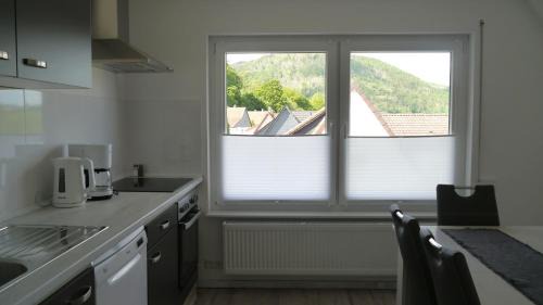 Oker Apartment | Ferienwohnung Okerblick