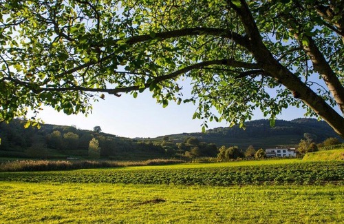 Boetzingen Apartment | Ferienwohnung Schambachhof