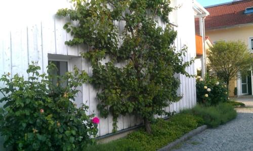 Altotting Apartment | Ferienwohnung Schuster