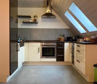 Duhren Apartment | Ferienwohnung Sinsheim