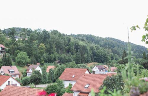 Spiegelberg Apartment | Ferienwohnung Spiegelberg