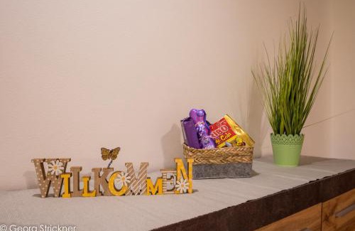 Trins Apartment | Ferienwohnung Strickner