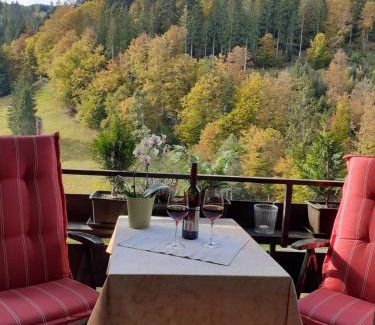 Baiersbronn Apartment | Ferienwohnung Tonbachtal