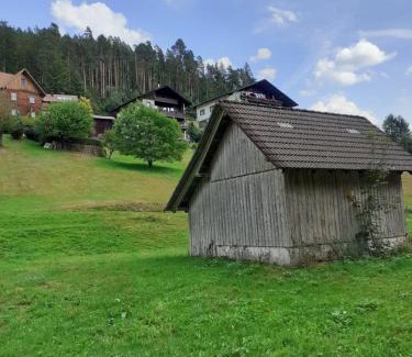 Baiersbronn Apartment | Ferienwohnung Tonbachtal