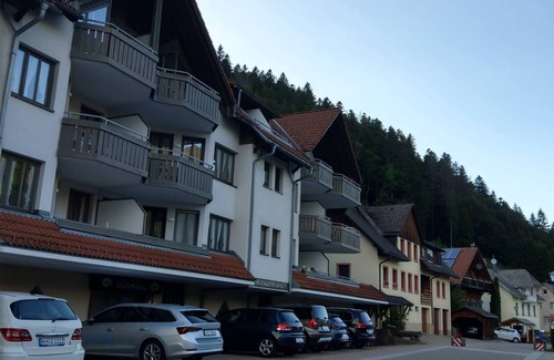 Todtmoos Apartment | Ferienwohnung Waldblick