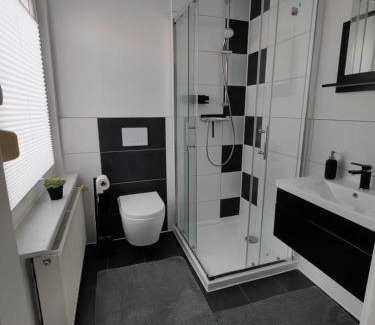 Ditzumerverlaat Apartment | Ferienwohnung Wildgans 2 Dollart Ostfriesland