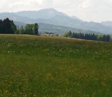Siegsdorf Apartment | Ferienwohnung zum Gimpei