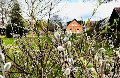 Dissen-Striesow Apartment | Ferienwohnung Zur Alten Tischlerei