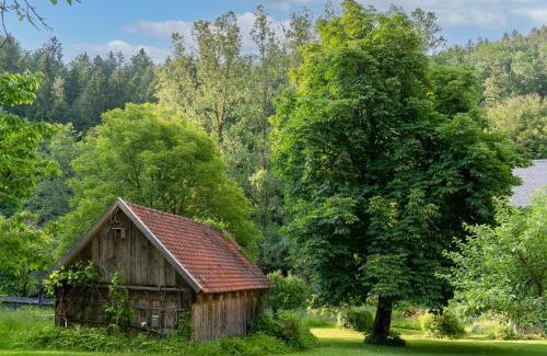Neunburg vorm Wald Apartment | Ferienwohnungen Mittermurnthal