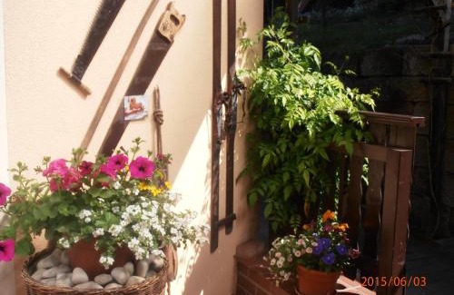 Prossen Apartment | Ferienwohnungen "Gründelrast"