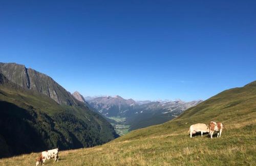 Val di Vizze Apartment | Ferienwohnungen Unterangerhof