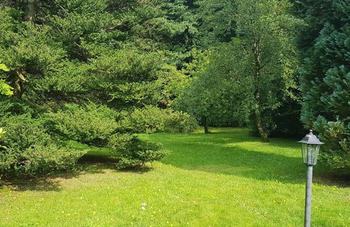 Wildemann Apartment | Ferienwohnungen Waldblick, Wohnung 2