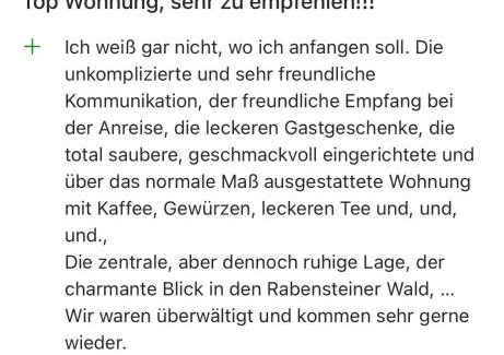 Rabenstein Apartment | FEWO "Rabennest " Gemütliche Wohnung nahe Rabensteinklinikum - kein separates Schlafzimmer, Studiowohnung