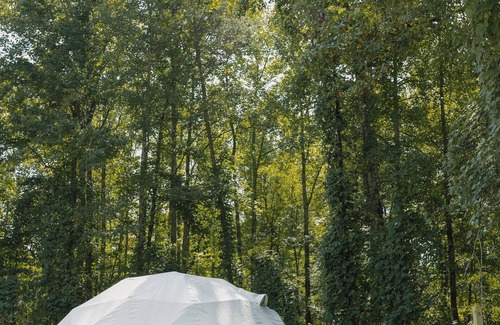 Travelers Rest Cabin | Field Trip Unit 16 GeoDome