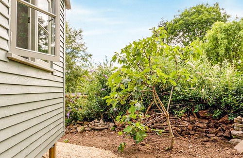 Bridport Cottage | Fig Tree Shepherds Hut