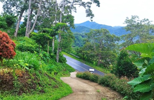 Moni House | Filomena Lodge