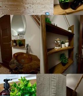 Albac House | Finașii
