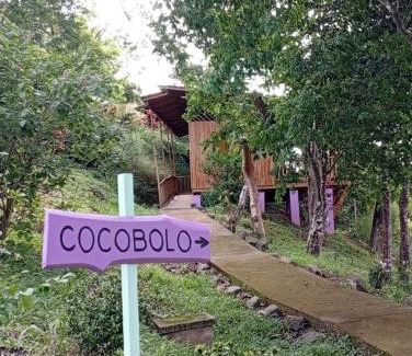 Paquera Cabin | Finca Colibri Ecolodges en Pleine Nature ferry Playa Najanjo Costa Rica