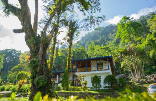 Venecia House | FINCA HOTEL CARMONIA DEL BOSQUE