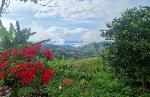 Falan House | Finca La Carolina
