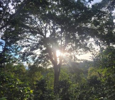 San Agustin House | Finca La Rivera