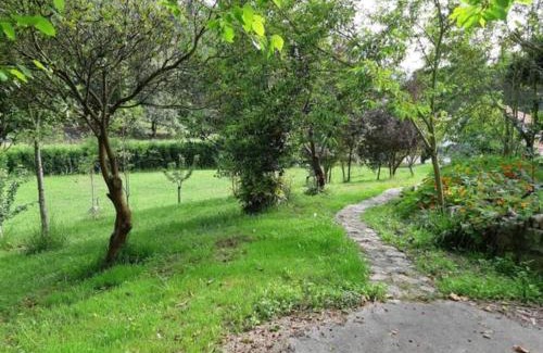 Castrillon House | Finca La Sierra