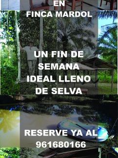 Campoverde Other | Finca Mardol