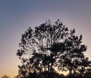 Campoverde Other | Finca Mardol