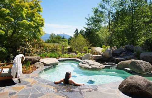 Stevenson Cabin | Finest Cabin Retreat: Wildlife, Dining, Hearth