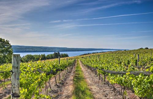 Hector House | Finger Lakes Farm Retreat Walk to Wineries!