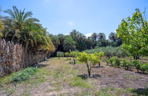 Vai House | Finikas House