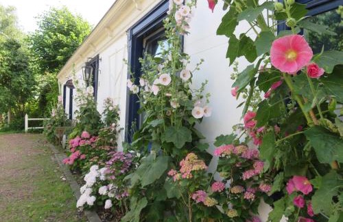 Saaxumhuizen Bed & Breakfast | Finisterre