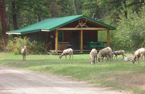 Clinton Cabin | FISHERMANS CABIN UP ROCK CREEK 30 MINUTES FROM MISSOULA MONTANA