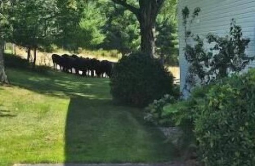 St. Marys House | Five W Ranch -Sugar Hill Farm location- Private, Five Minutes From Downtown!nn