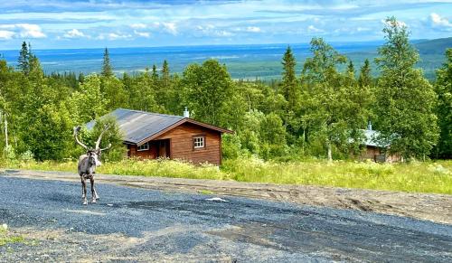 Fjallhalsen Hotel | Fjällhalsen Cottages