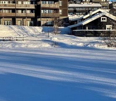 Beitostolen Apartment | Fjellparken 351
