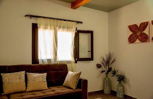 Vigla Ski Chalet | flamingo colour valey house