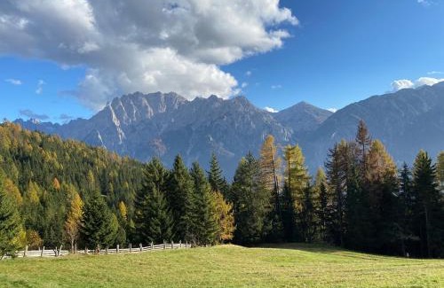 Assling House | Flasswiesen Alm